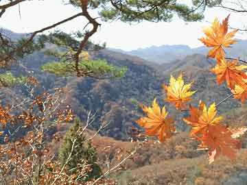 沂源打胎药私人华熙生物点名“炮轰”9家券商，称“真正的创新从不在时间洪流中褪色”